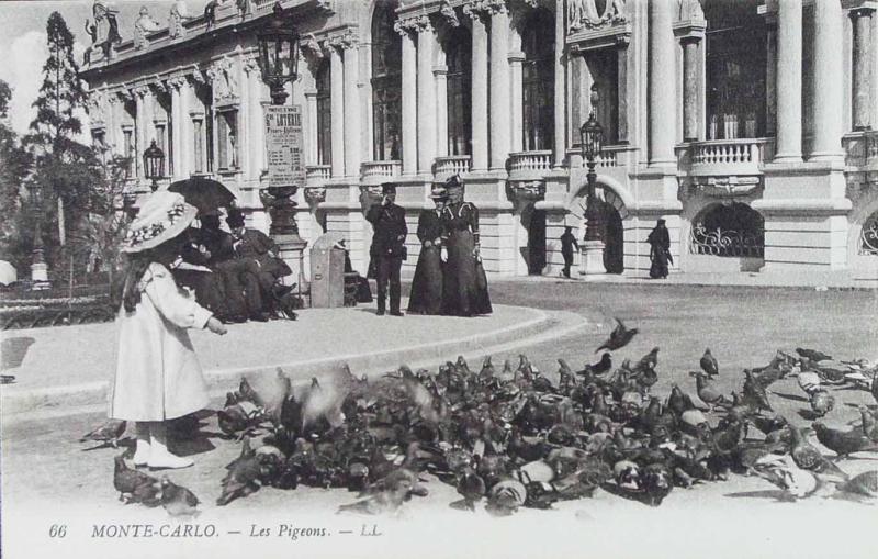 Monte-carlo. Les pigeons