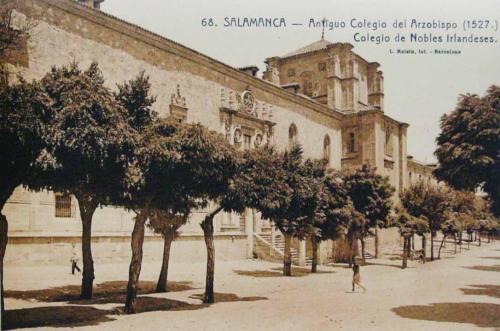 Salamanca. Antiguo Colegio del Arzobispo (1527). Colegio de Nobles Irlandeses