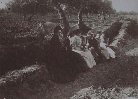 (Retrato de un grupo de mujeres en un campo de olivos con sombrillas)