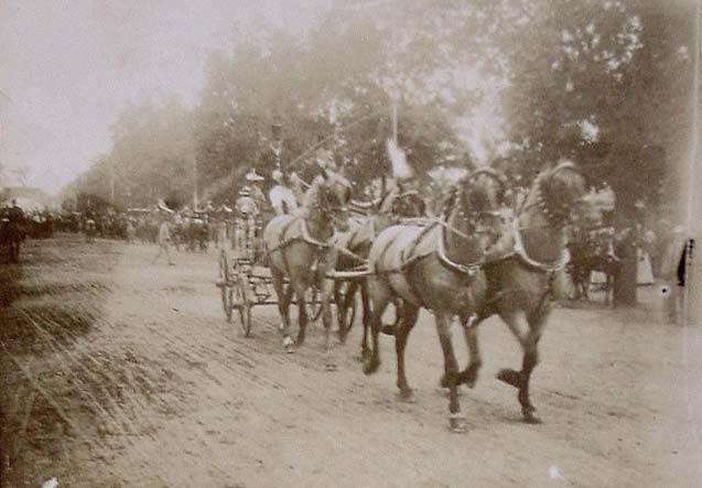 (Coche de caballos en la Feria de Sevilla)