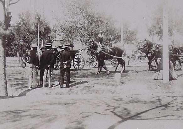 (Feria de San Miguel de Sevilla. Paso de coches de caballos)