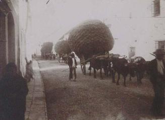 (Carros de heno por una calle de Marchena)