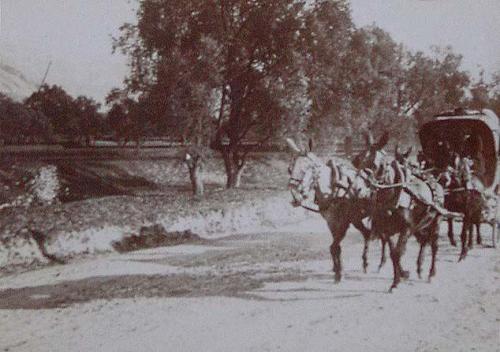 (Coche de caballos por un camino)