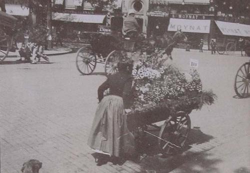 (Florista arrastrando un carro de flores)