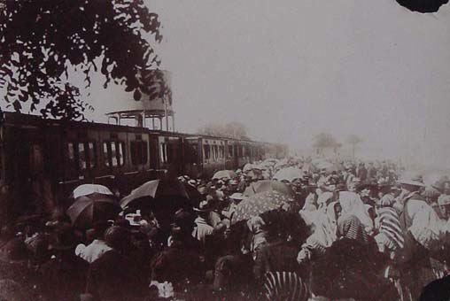 (Estación de Argamasilla de Alba)