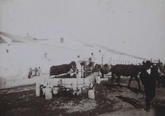 (Hombres llevando a abrevar a unos burros en Osuna)