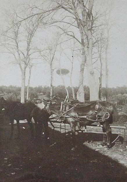 (Hombre con caballos en Marchena)