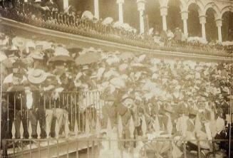 (Público en una plaza de toros)