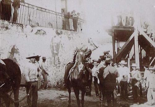 (Feria de ganado en Marchena)