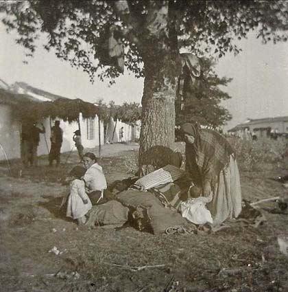 (Campesinos bajo un árbol)