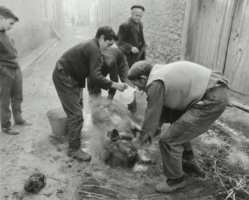 Matanza del cerdo