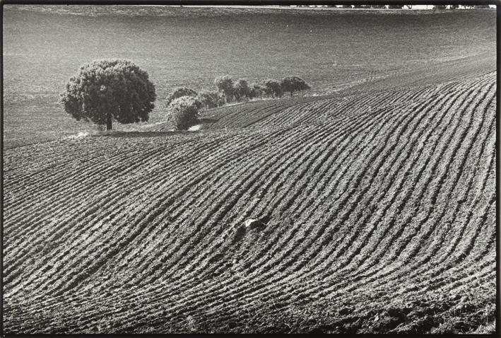 Cerca de Sigüenza