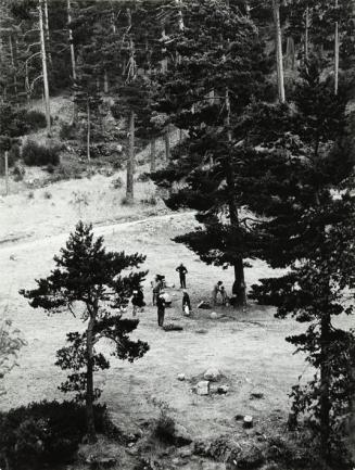 Excursionistas en un bosque