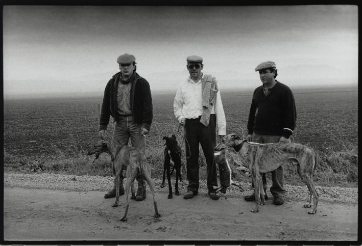 Tres hombres con galgos