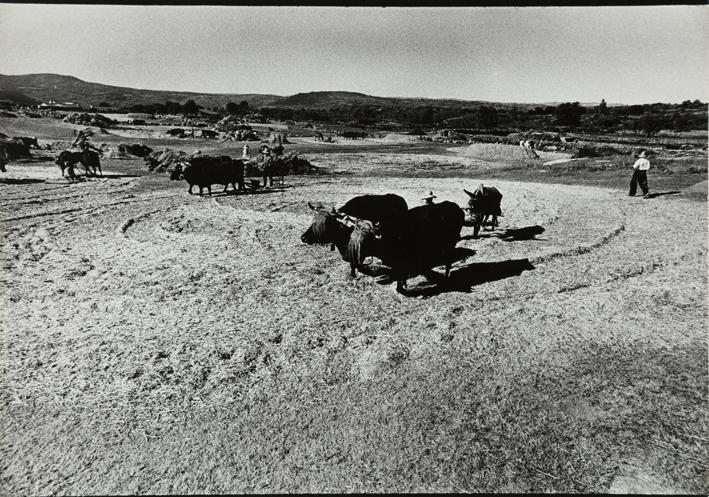 Béjar. Era