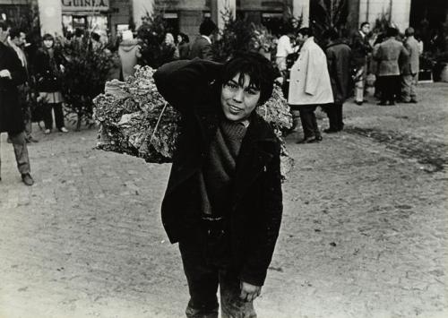 Plaza Mayor. Madrid