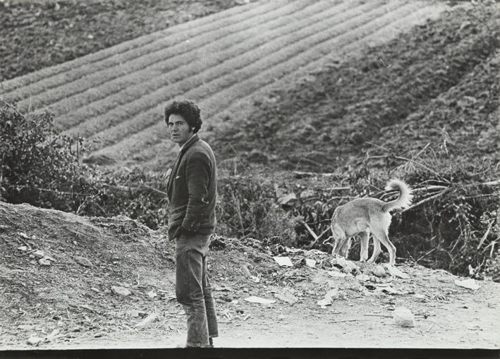 Hombre y perro en el campo