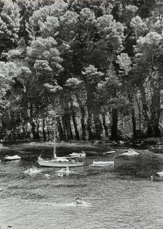 Acantilado con bosque y barcos en el mar