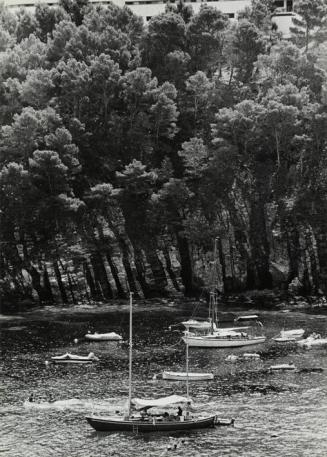 Acantilado con bosque y barcos en el mar