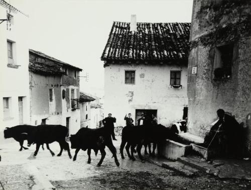 Feria de ganado