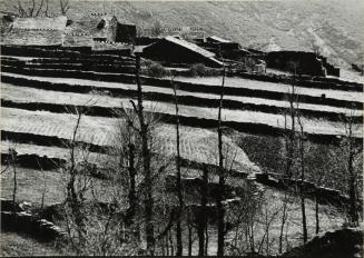 Pueblo rural y campos de cultivo