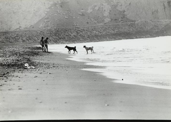 Niños y perros en una playa