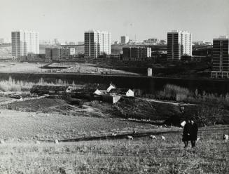 Explosión del Nuevo Madrid, Barrio del Pilar