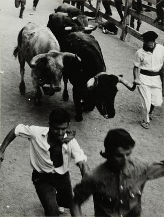 Pamplona, San Fermín