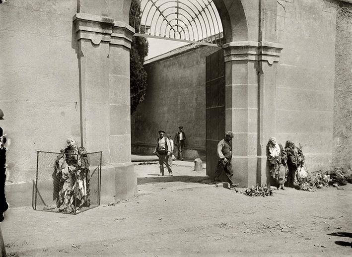 Semana Trágica. Momias en el convento de las Monjas Capuchinas del Camp de Galvany