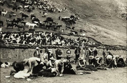 Trasquila en la hacienda de Blas Aguilar