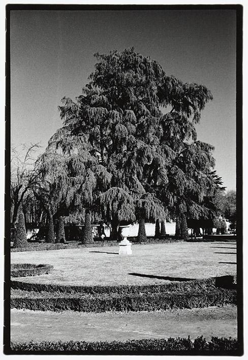 El Retiro, Madrid