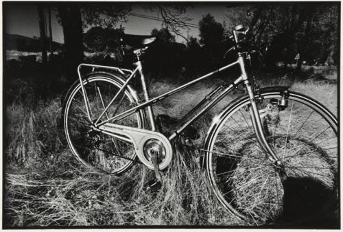 Bicicleta en un campo con hierba alta