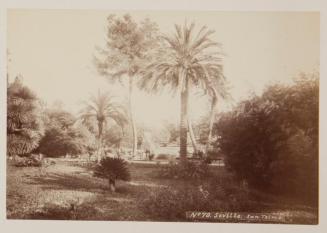 Sevilla. Jardines del palacio de San Telmo