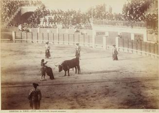 Corridas de toros. La estocada