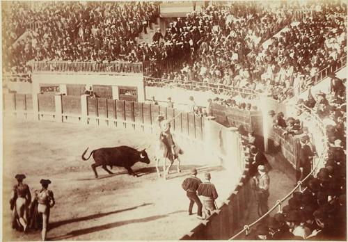 Madrid. Bullring (picador)