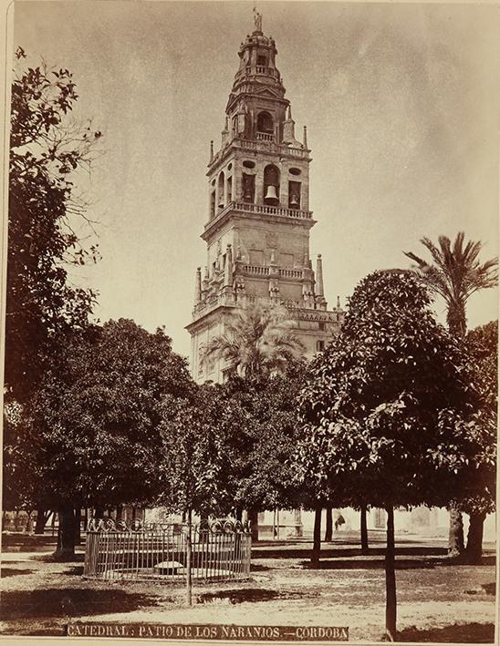 Catedral. Patio de los Naranjos. Córdoba