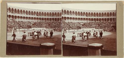 (Plaza de Toros de Madrid)