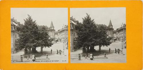 Fribourg (Suisse). Le tilleul de la bataille de Morat