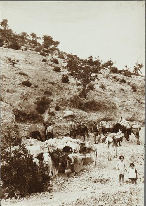 (Aguadores. Altea la Vieja. Alicante)