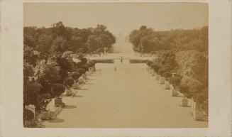 (Paris. Avenue des Champs Elysées)