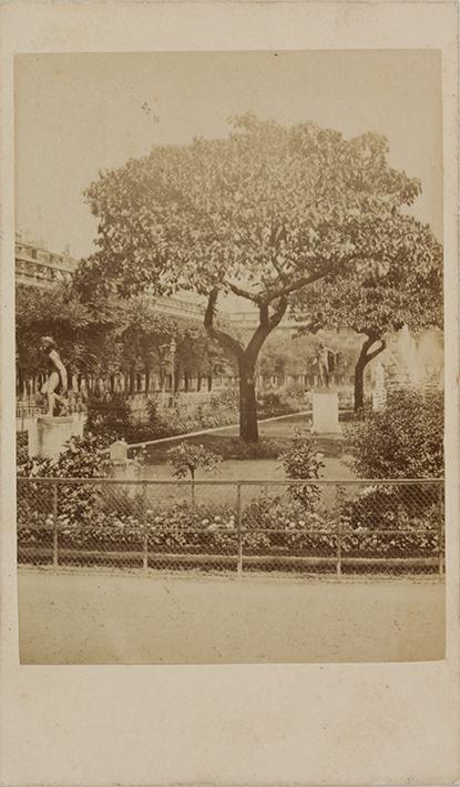 (Paris. Jardin du Palais Royal)