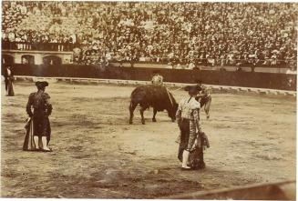 (Corrida de toros)