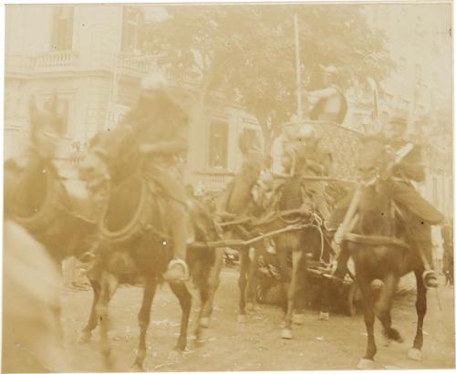 (Desfile de carrozas)