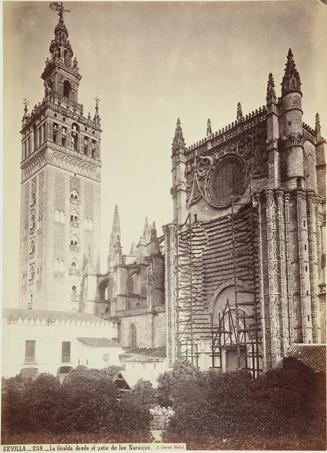 Sevilla. La Giralda desde el patio de los Naranjos