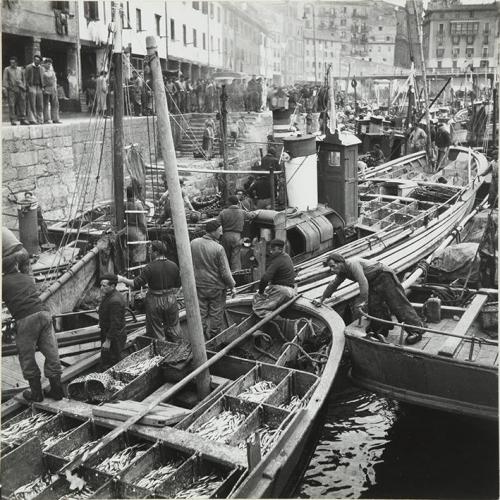 Puerto de pescadores. San Sebastián